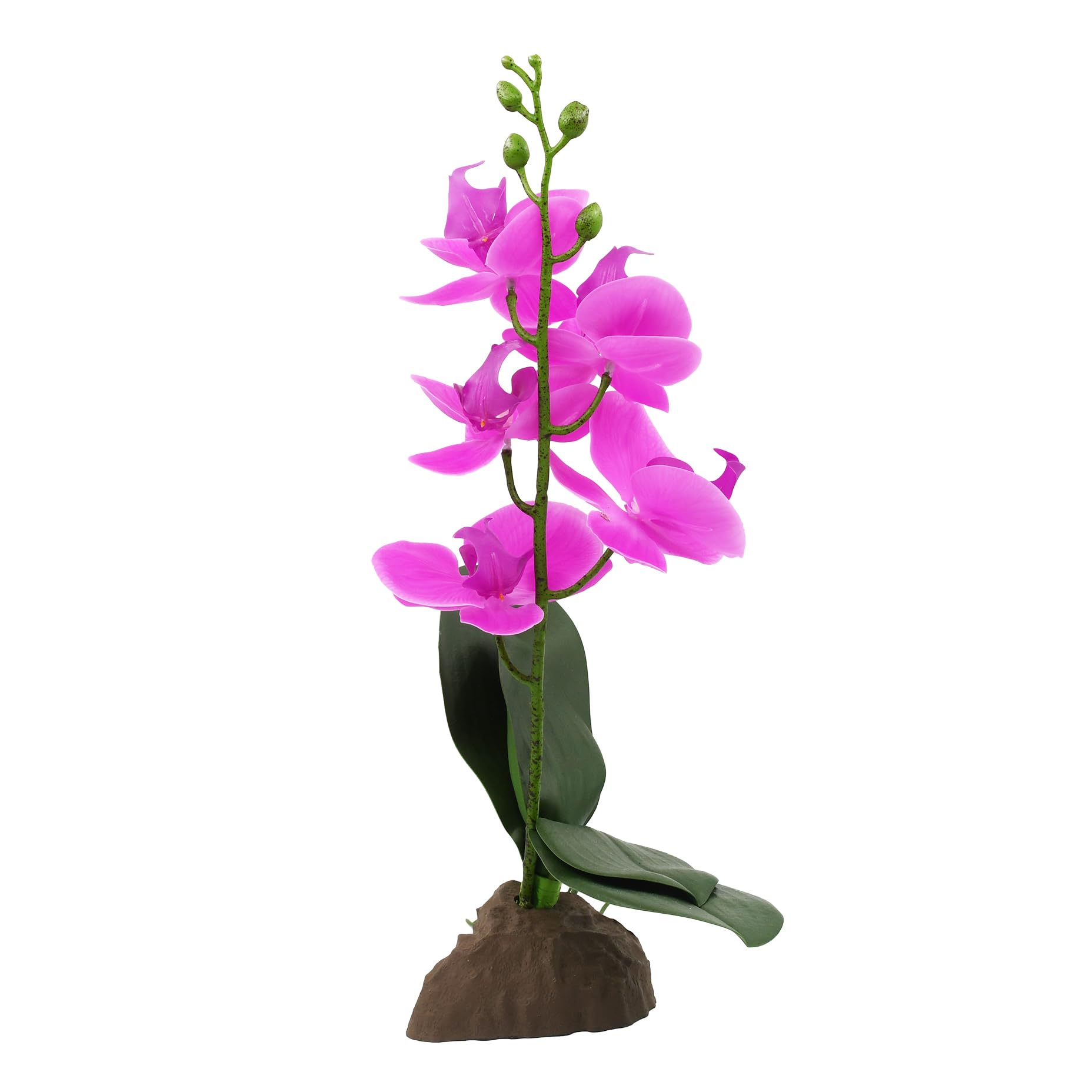 Lucky Reptile Scape it Easy - Orchidee klein lila ca. 35 cm - Dekopflanze für Terrarien