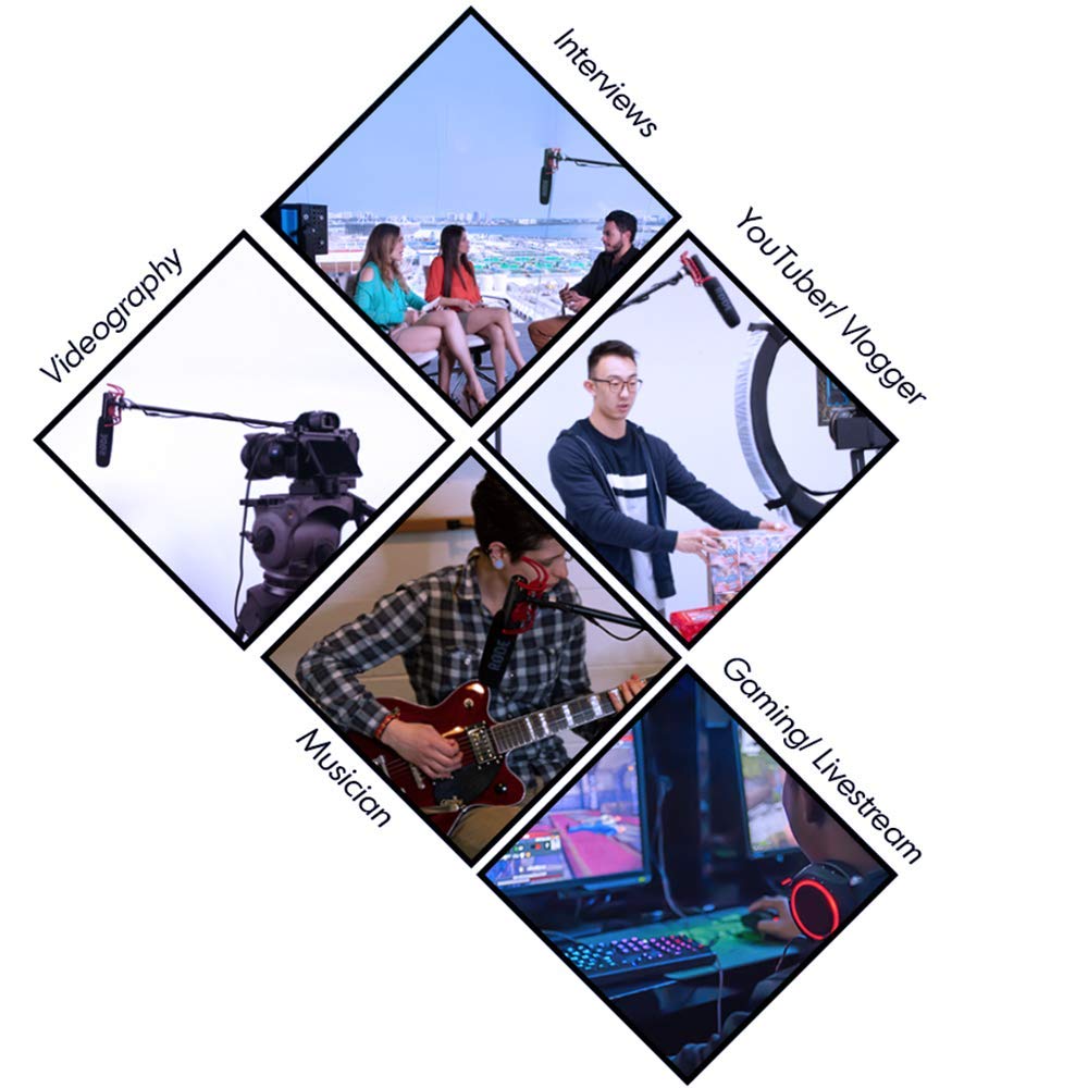 Buy RODE VideoMic Studio Boom Kit VM, Boom Stand, Adapter, 25' Cable