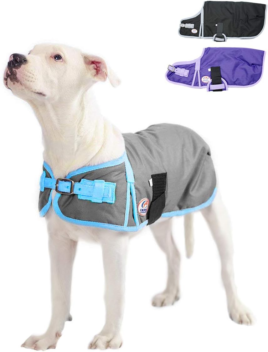 Derby Originals Horse Tough 600D Ripstop Waterproof Winter Dog Coat 150g Medium Weight