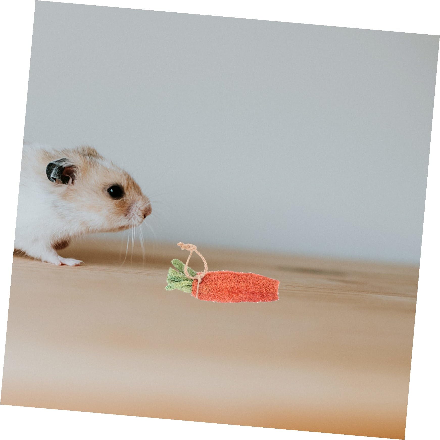 BESPORTBLE 8pièces Jouets à Mâcher pour Hamsters Décoration pour Cage De Hamster Accessoires pour Lapins Jouets pour Petits Animaux