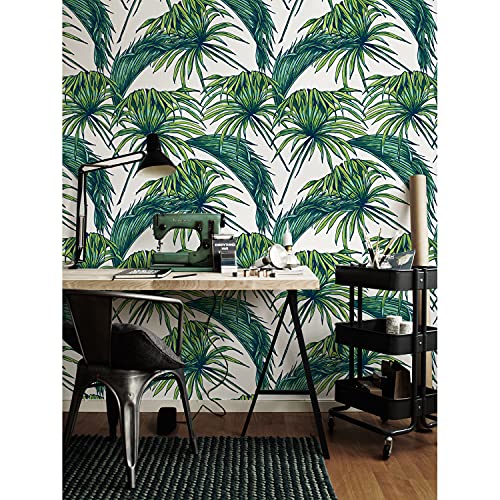 Papier peint panoramique feuilles de palme 104x70 cm Coloray pour mur et meuble - 2