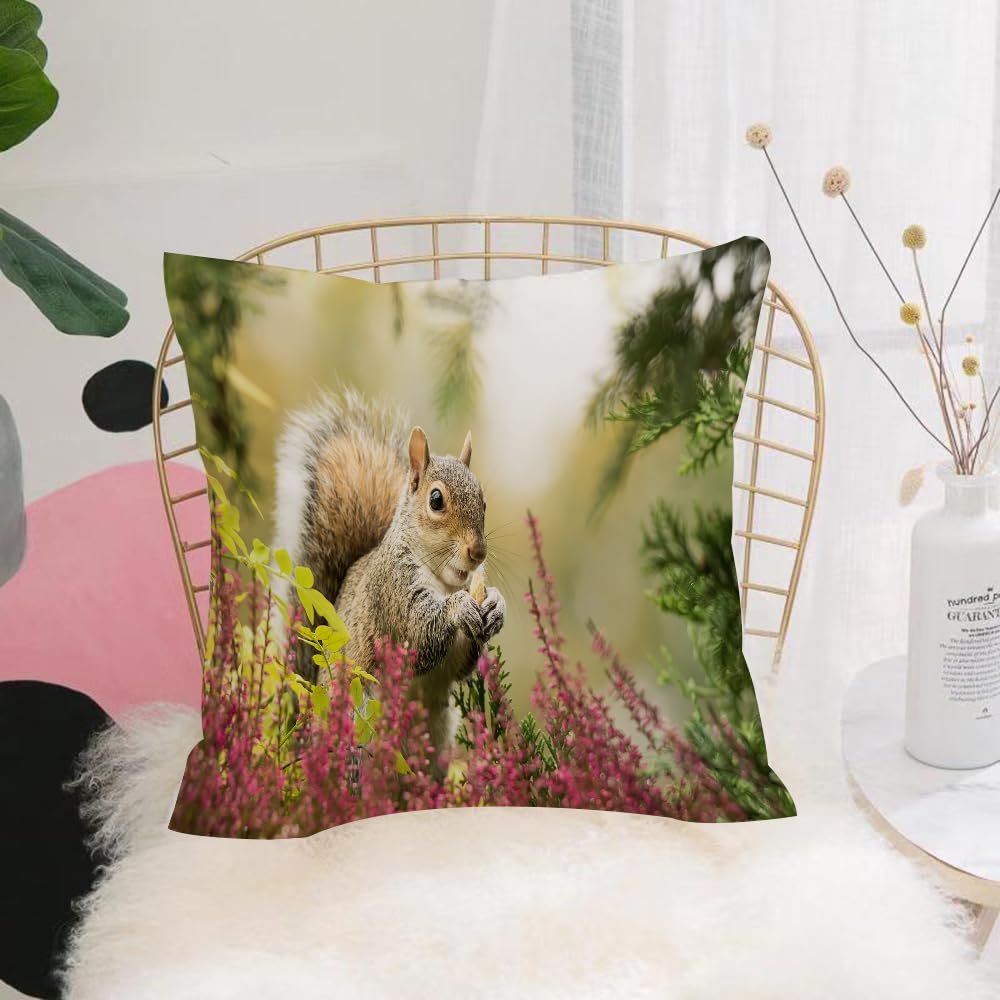 Hyosxw Squirrel, Squirrel Foraging Among Green Shad - A6 Cushion Cover,Throw Pillow Case Home Decorative For Living Room Bedroom Sofa Chair 18X18 Inch,Squirrel, Squirrel Foraging Among Green Shadows Of Pink Flowers,Pillowcase 45X45cm