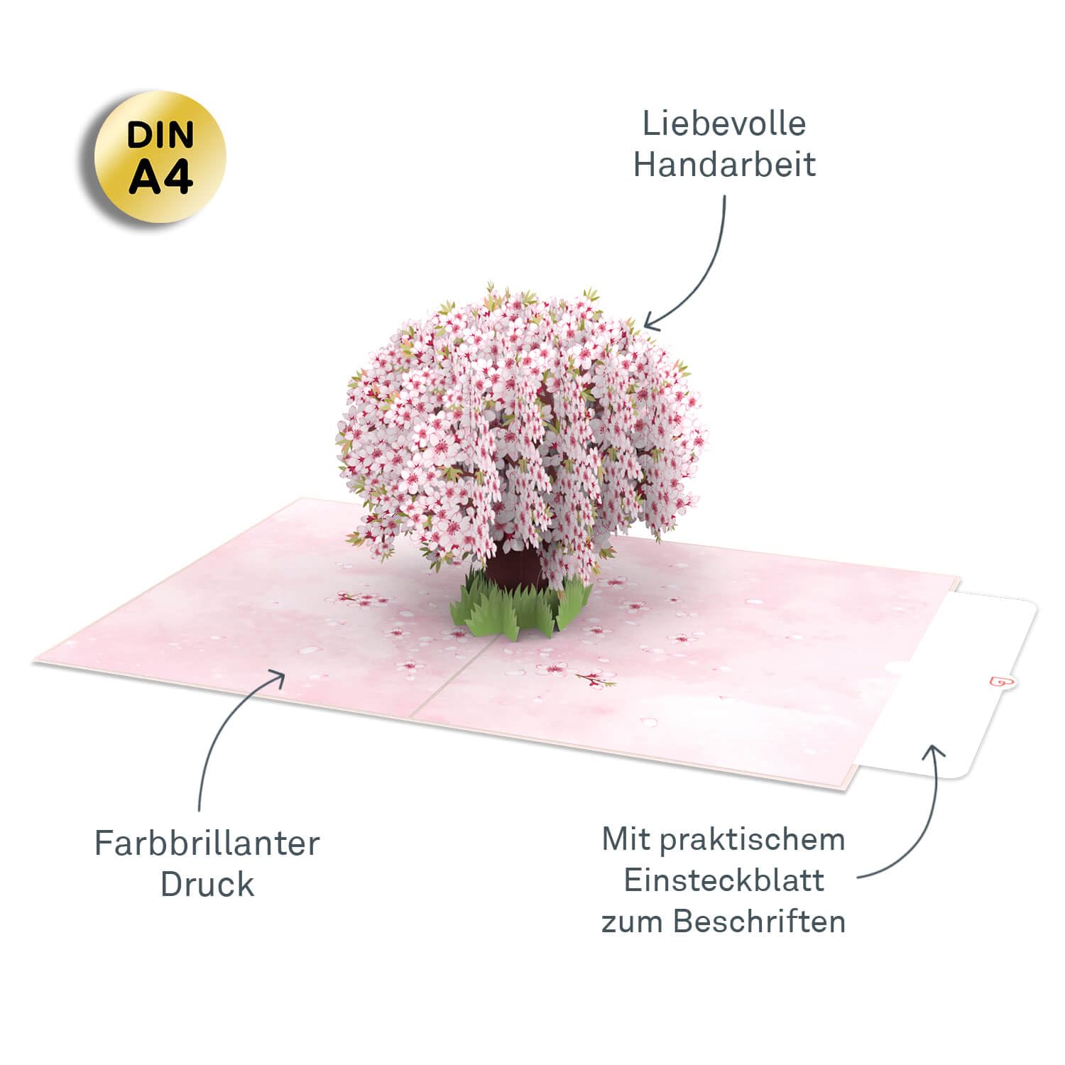 papercrush® Pop up biglietto Sakura XXL - Biglietto compleanno grande 3D per donne (moglie, fidanzata, amica), Carta nasctia d'una bimba, Carta regalo come biglietto d'auguri o di ringraziamento