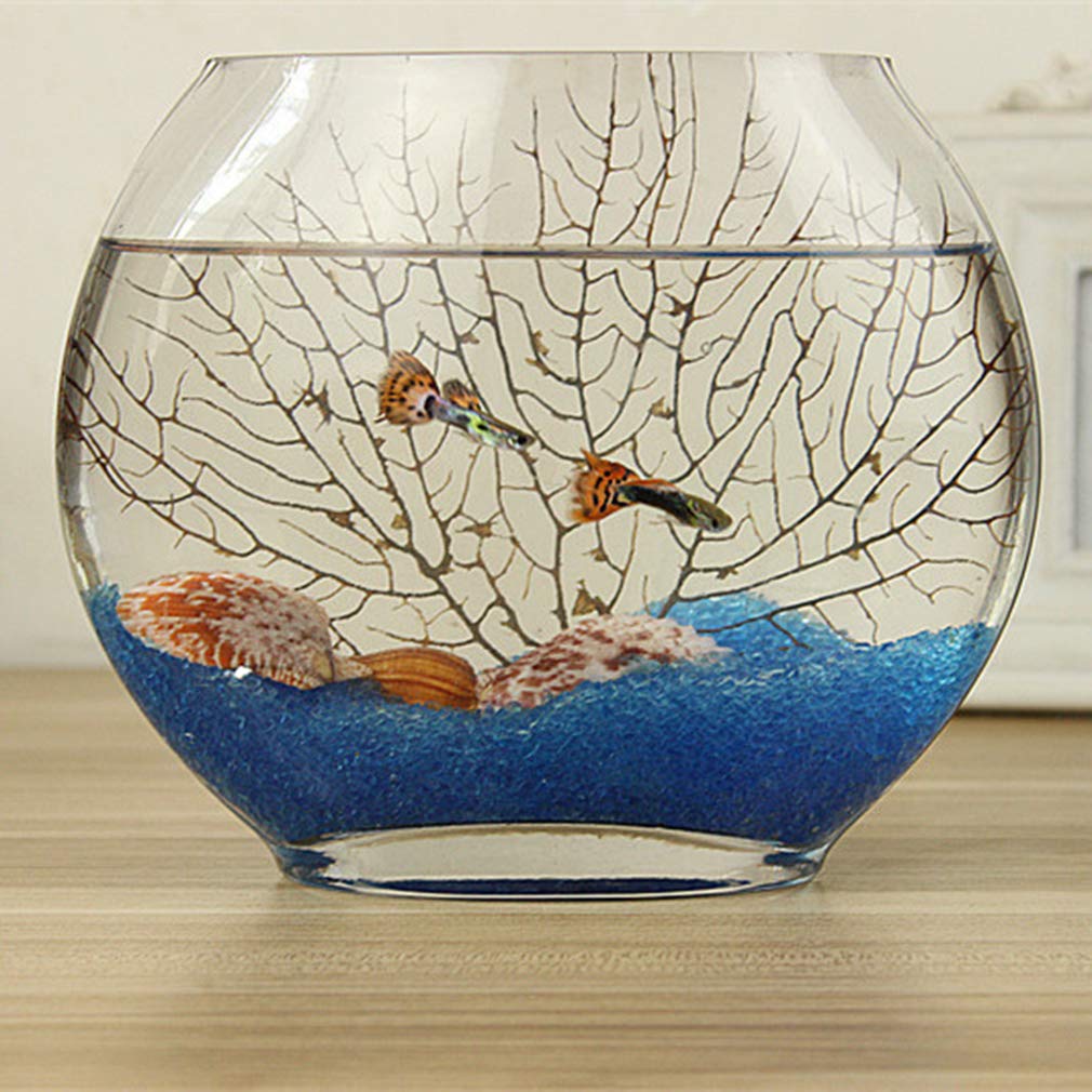 「SALE‼️」再値下げ 【新入荷】フィッシュボール(天然木ガラス水槽)花びら水槽 Amazon | 平口ガラス水槽オーバル超白透明ガラス金魚タンクミニ水族館