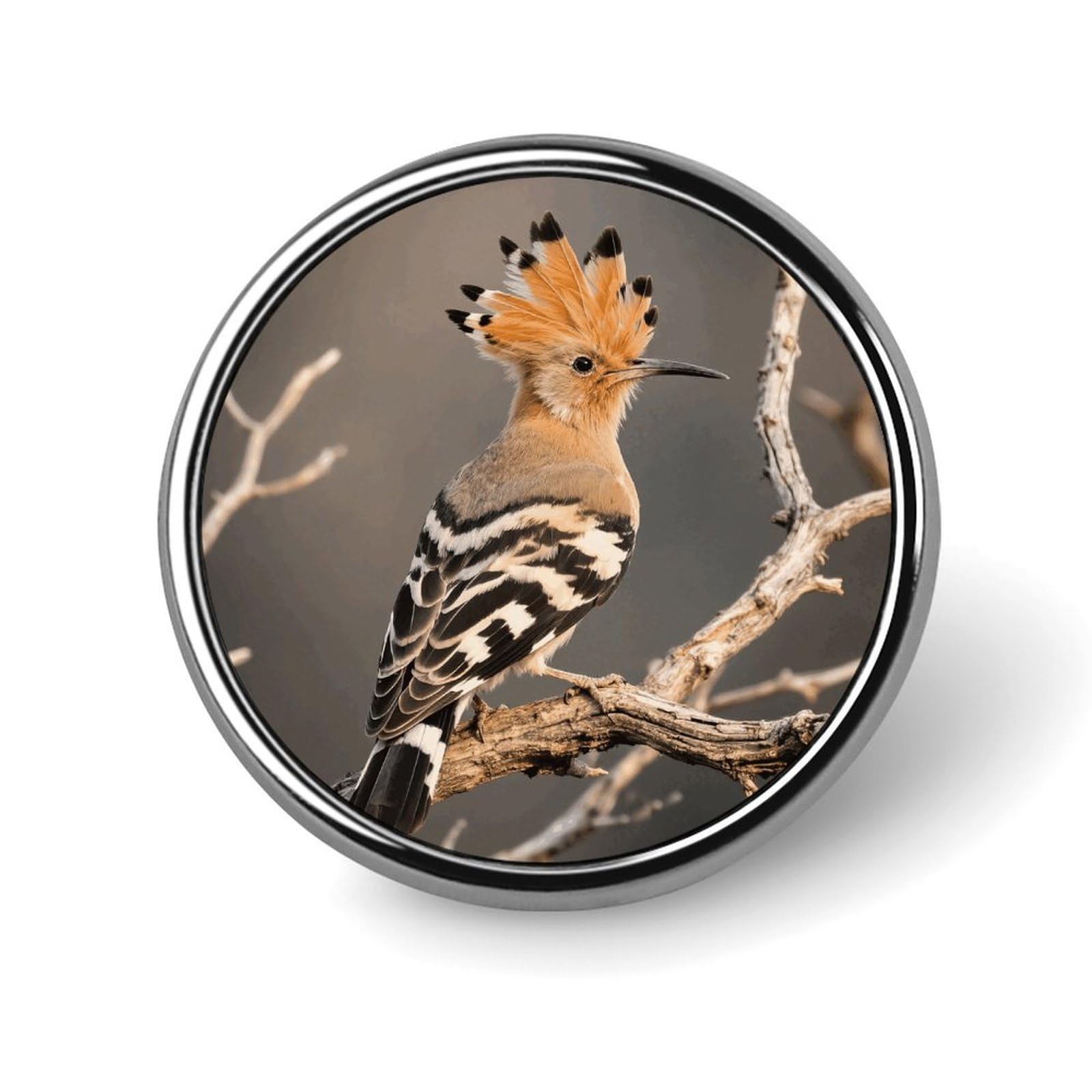 Pines de solapa de abubilla personalizados de 1 pulgada para trajes, broches divertidos para hombres y mujeres, insignias vintage para bolsos, chaquetas, mochilas, sombreros, botones, colección de in