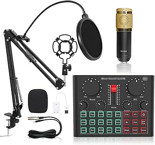 PQZKLDP BM 800 Professional Audio V8 Sound Card Set, Podcast Microphone Audio Mixer Kit and Live Sound Card, for PC/Laptop/Phone/Pad, Microphone for Streaming/Podcasting/Recording