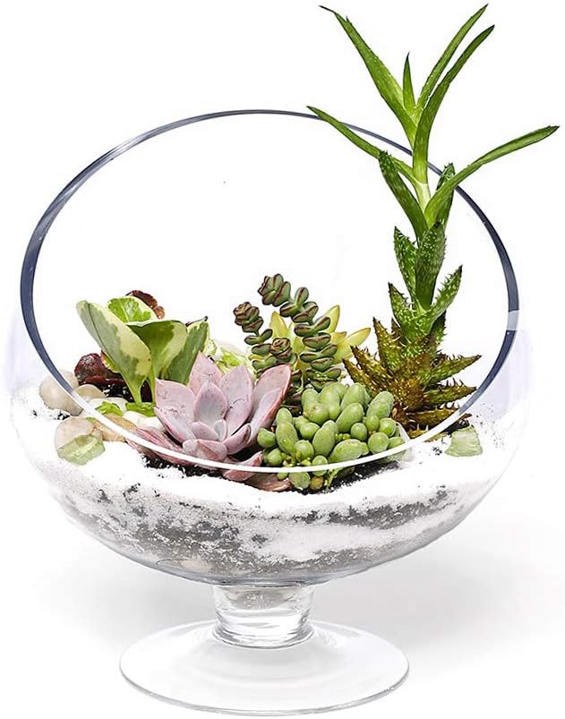 WGV Slant Cut Bowl Glass Vase with Stand, Width 8.25", Height 8.75", Clear Planter Terrarium, Candy Dish, Fruit Jar for Wedding Party Event, Home Office Decor, 1 Piece
