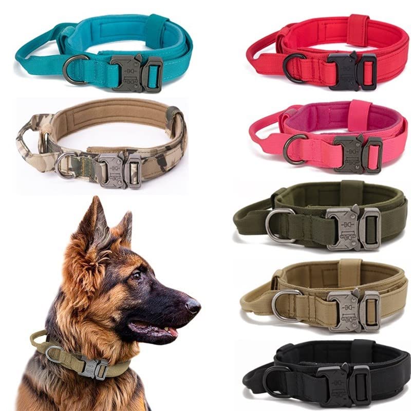 Collar táctico para perros A4DOG de nylon ajustable miniatura 6