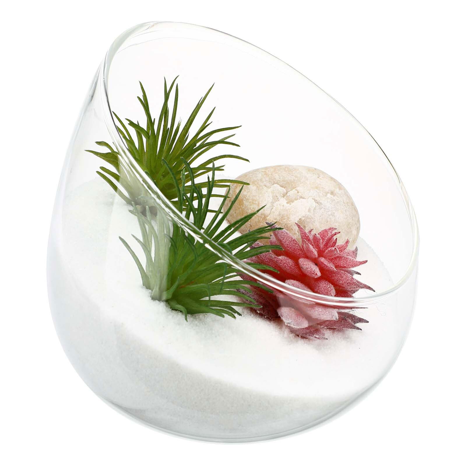 Cuenco de Vidrio para Terrario Corte Inclinado, Diámetro 15 CM, Jarrón Transparente para Micropaisaje, Maceta de Plantas Suculentas, Decoración de Escritorio y Hogar