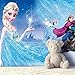 Nidezon Elsa Backdrop 5 Feet 3 Feet Wall Decro Birthday Party Decorations Ice and Snow Photography Banner Ice Castle Background