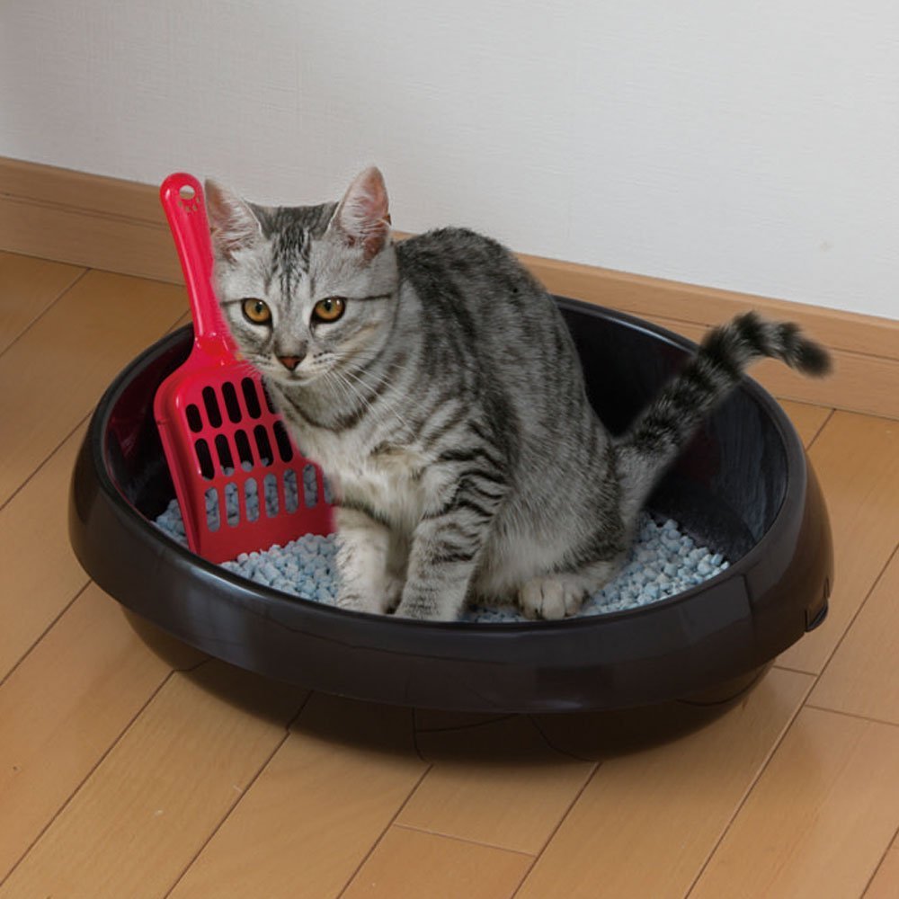 Amazon.co.jp: アイリスオーヤマ 猫用トイレ本体 猫トイレ