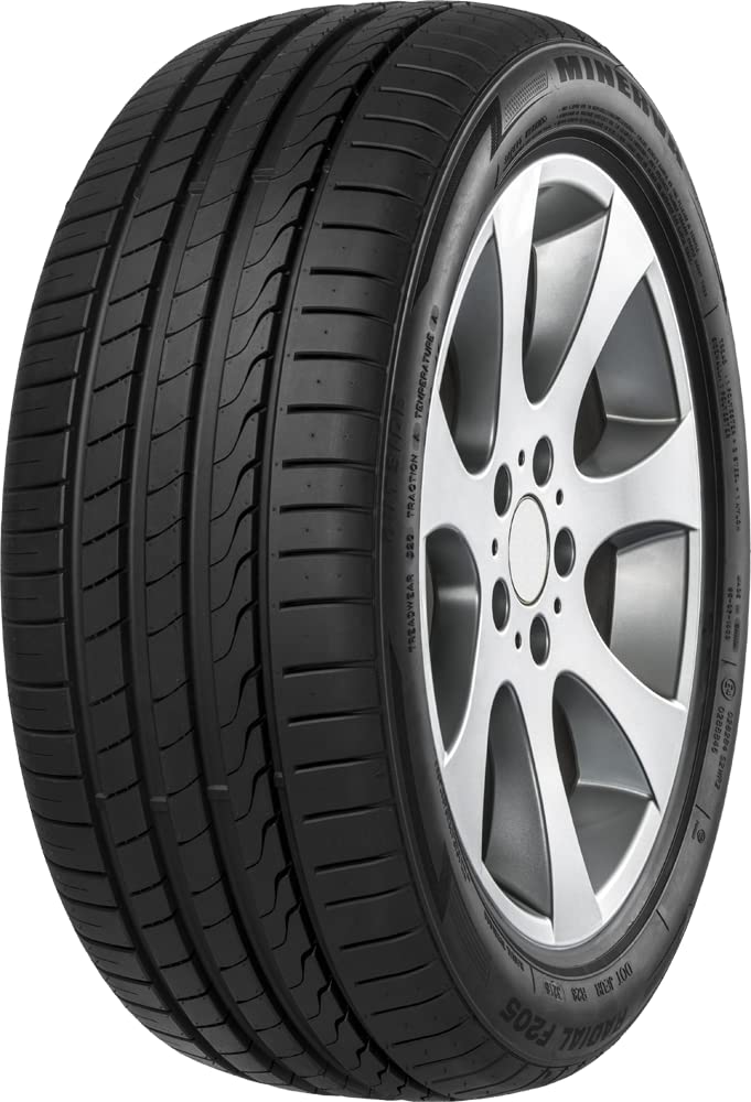 Minerva F205 - 225/45R17 91Y - Neumático de Verano