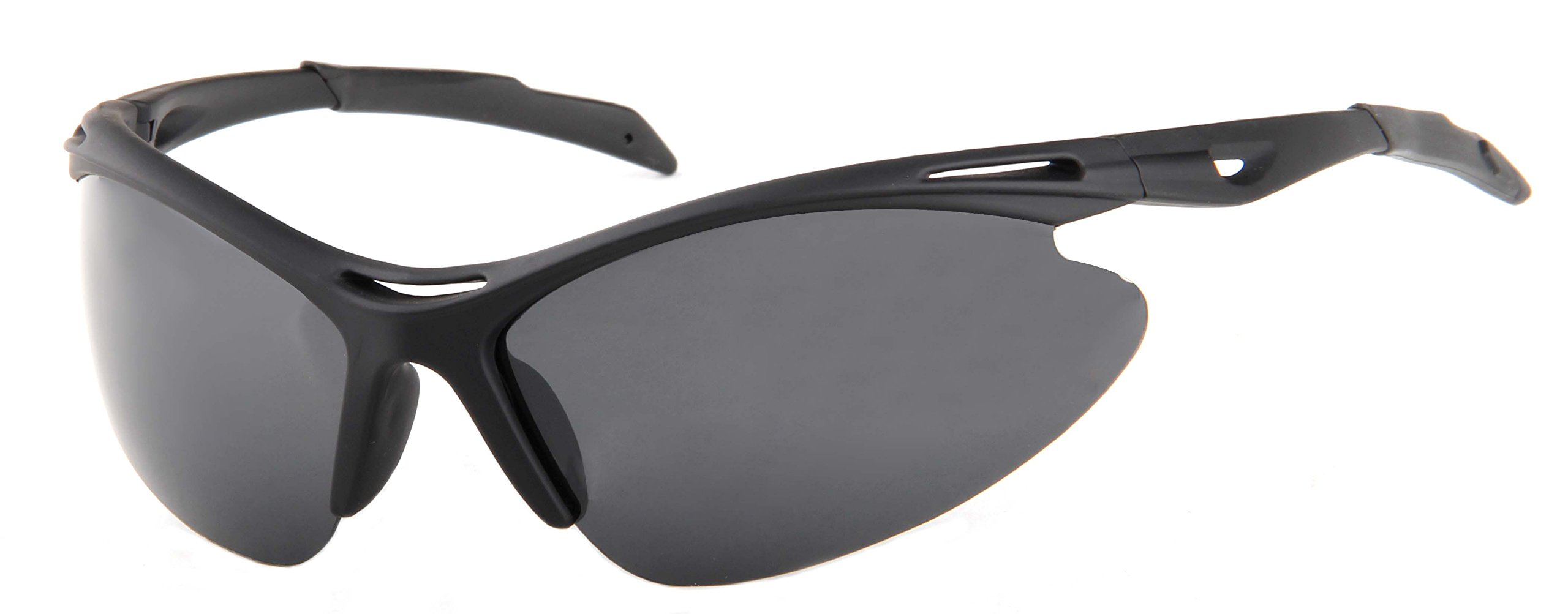 Sunoptic Unisex SP301 Sunglasses