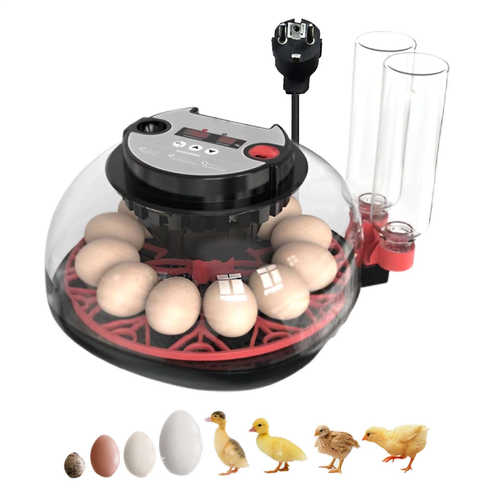 Hühnerei -Inkubator, Eierkubator Eier -Candler -Inkubator