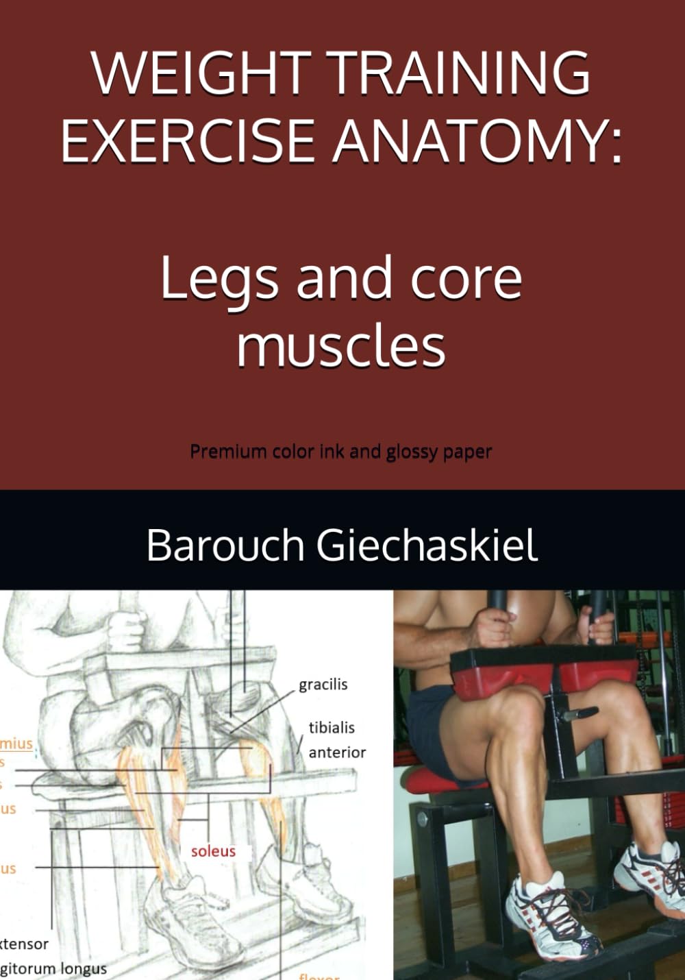 Weight training exercises anatomy: Legs and core muscles: Premium color