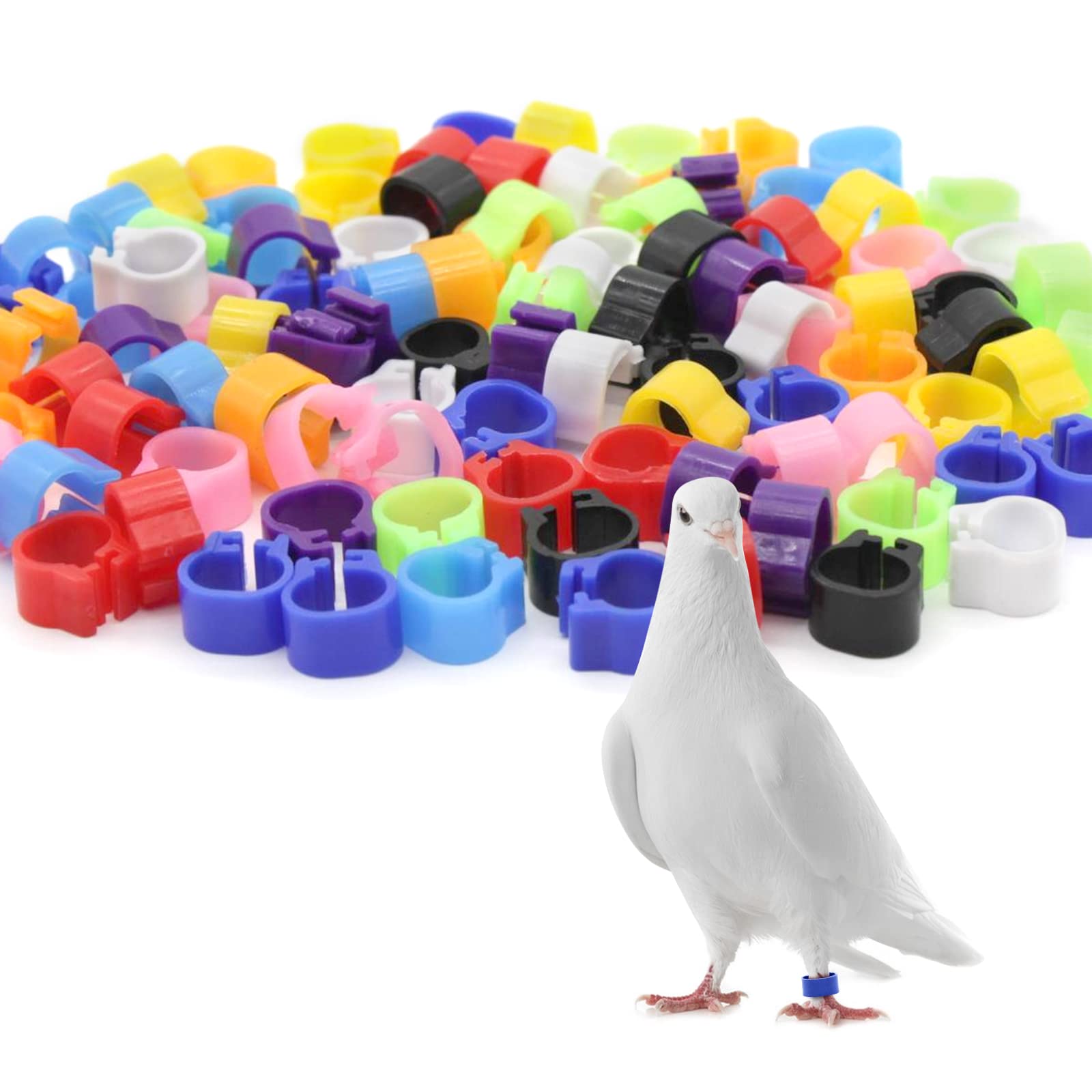 Andiker 100 Piezas Anillas para Palomas, Plástico Anillos de Identificación de 8mm para Aves, Loros, Palomas, Codornices y Polluelos Multicolores