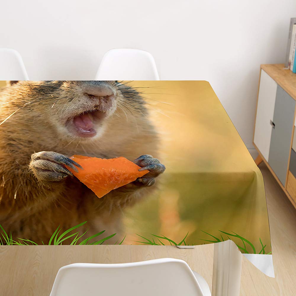 Morbuy 3D Nappe Rectangulaire Pferd Imprimé Anti Tache Nappe De Table Imperméable Lavable Et Facile D'entretien Pour Ménage Table Basse Jardin Extérieure (Cheval Indien,60x60cm