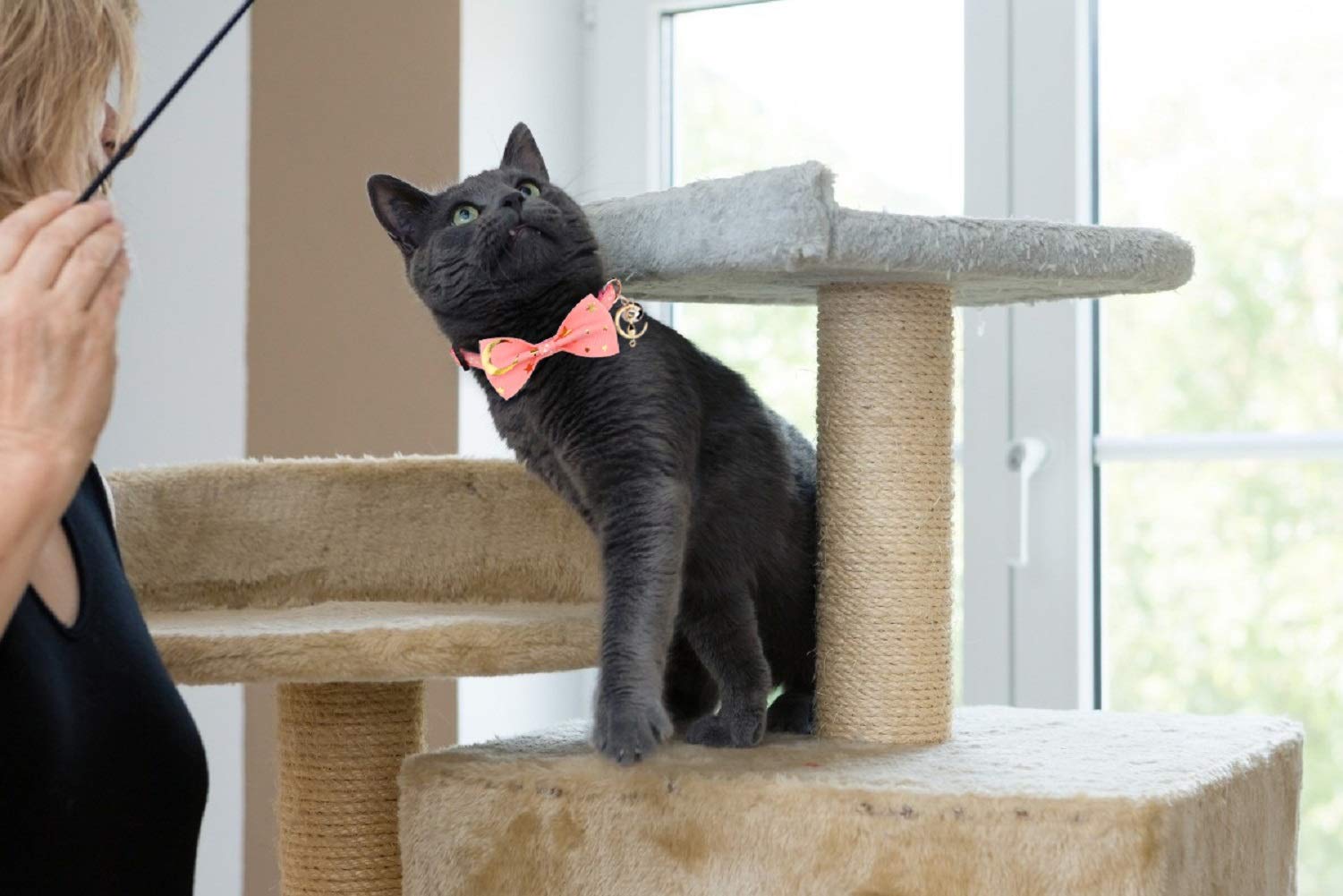 Katzenhalsband, mit Fliege und Glöckchen, glitzernder Mond, leuchtender Stern im Dunkeln, für Kätzchen, Schwarz und Rosa, 2 Stück