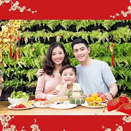 6 Pcs Chinese Feng Shui Decoration Set 3 Lucky Coins Chinese Knot Pendant 3Copper Gourd Pendant with 3 Lucky Bag Lucky Charm Ancient Good Luck Coins for Wealth and Success