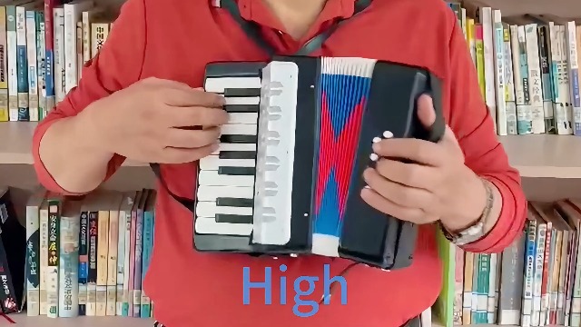 Amazon.com: Lotkey 17 Key Piano Accordion, 8 Bass Kids Accordion