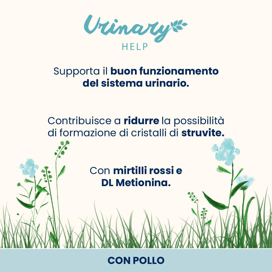 Almo Nature Functional Urinary Help - Cibo Umido per Gatti Adulti al Pollo - Supporto per il Benessere delle Vie Urinarie - 30 Buste da 70g