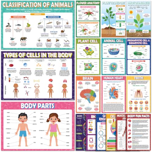 Image of KIDS KING 18 Learning Posters - Biology (11 inchx17 inch)