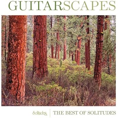 Guitarscapes