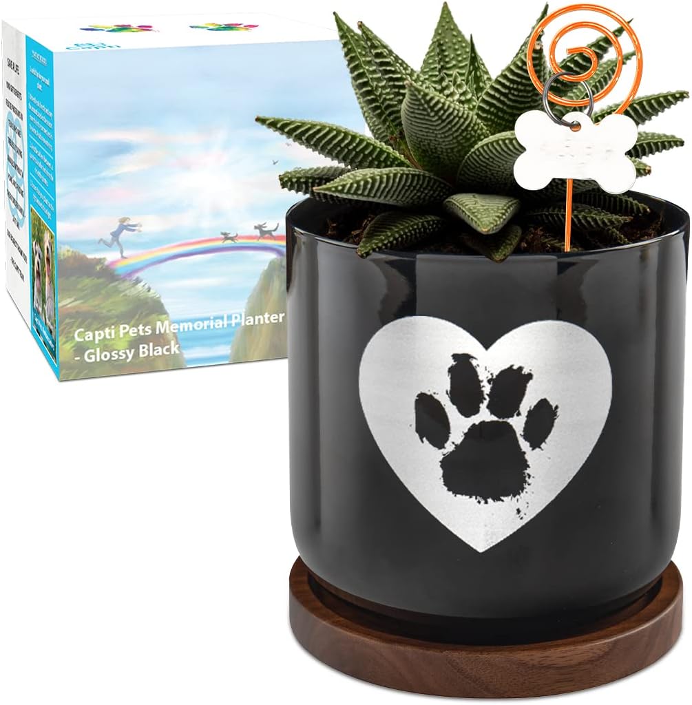 Capti Dog Memorial Gifts Plant Pot - Paw Print On My Heart Planter, Pet Loss Gifts - Rainbow Bridge Poem & Stake, Remembrance, Bereavement, Keepsake, Sympathy Loss of Dog Gifts