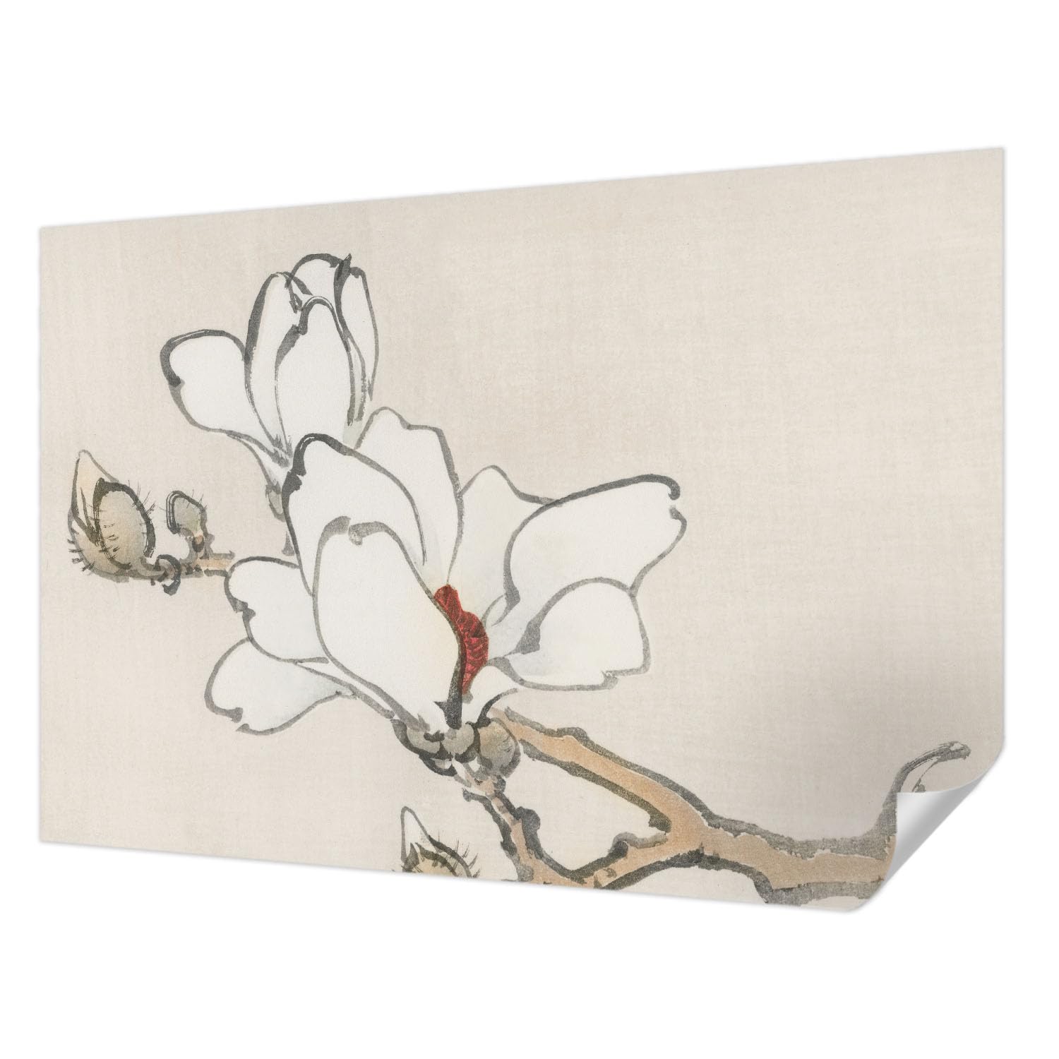 Papier peint autocollant résistant aux taches déco magnolias