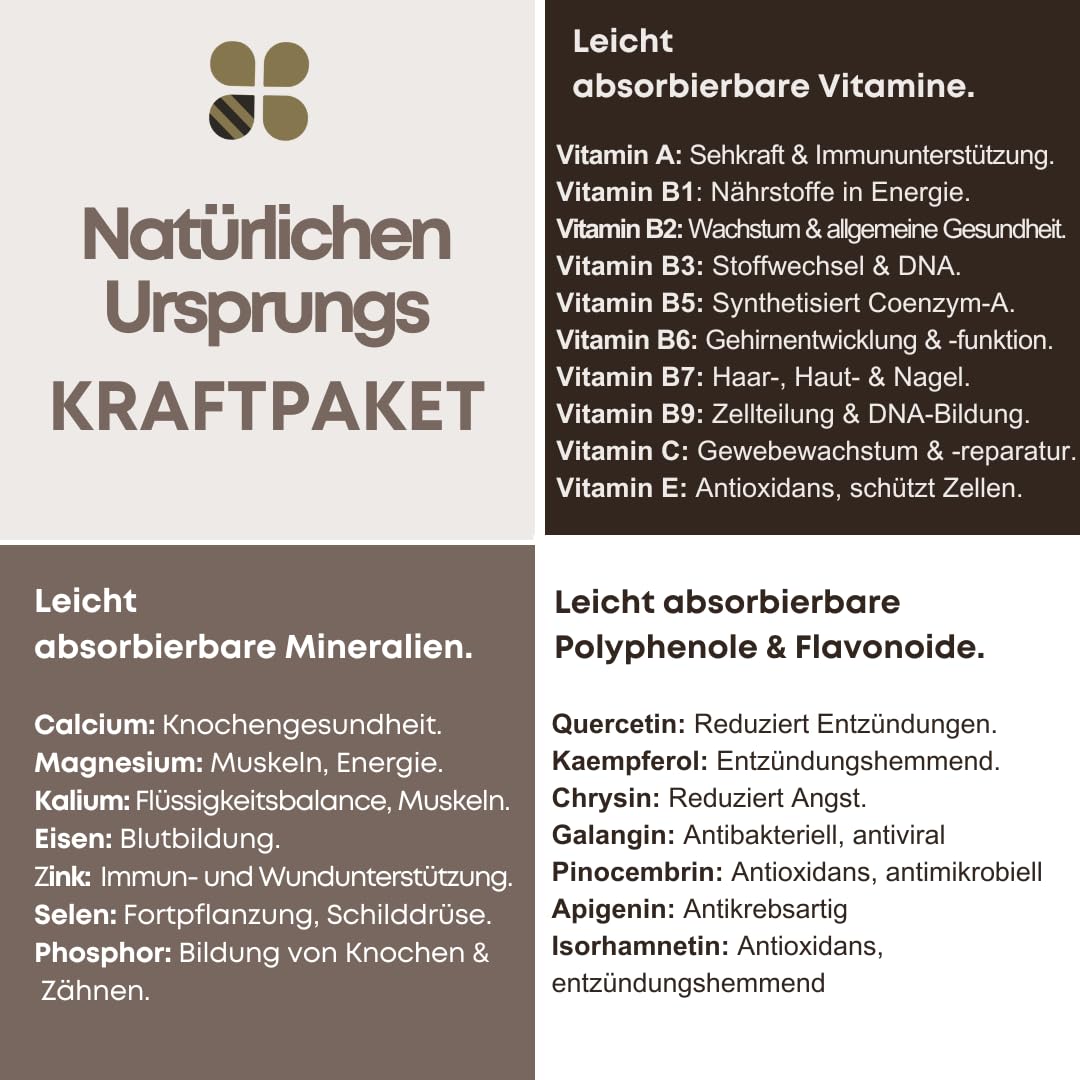 Propolis Tropfen ohne Alkohol 39% 1480 mg - Mighty Propolis Essentials 100 ml mit Bienen Pollen Hochdosiert - Natürliche Unterstützung bei Erkältungen auch für Kinder von Bee Enriched | Tinktur