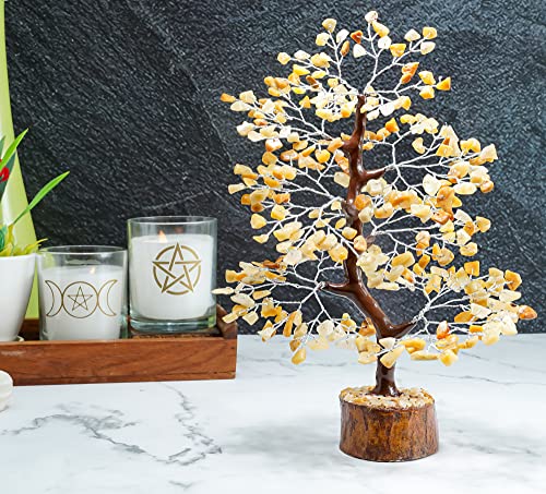 Zaicus Árbol de aventurina amarillo Cover