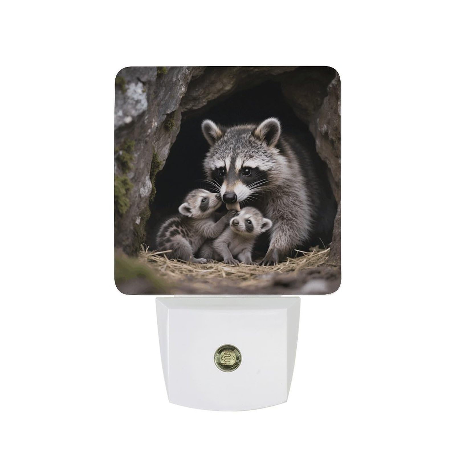 FodPand Night Light Plug Into Wall with Dusk to Dawn Sensor 0.5w Modern LED Raccoons Plug in Night Lamp Warm White Glow Nightlight for Bedroom Hallway Kitchen Bathroom Stairs Corridor