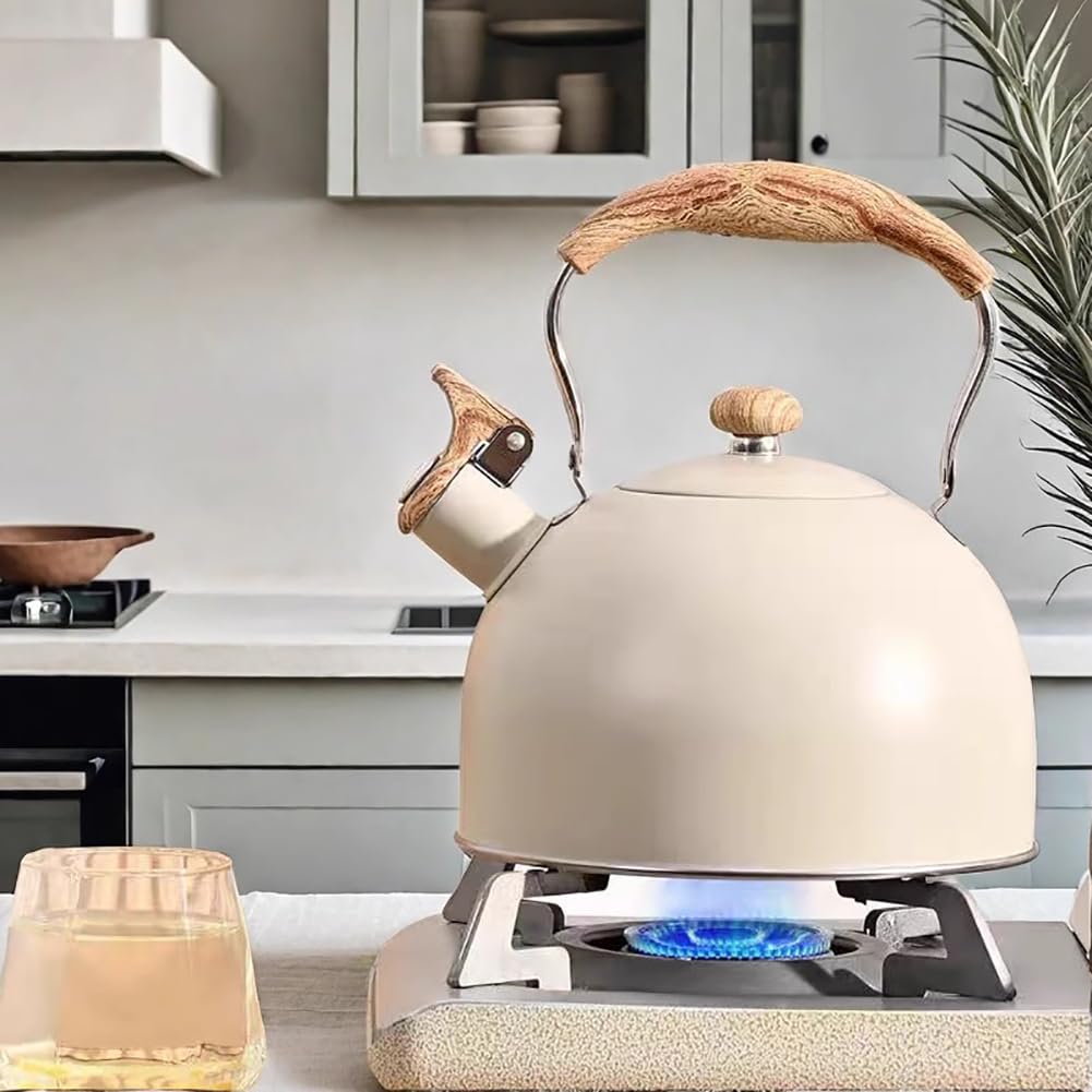 Bollitore Domestico in Acciaio Inossidabile da 2,5 Litri, Bollitore A Fischietto con Manico Antiscottatura, Caffettiera Portatile per Uso Domestico, Bollitore Elegante