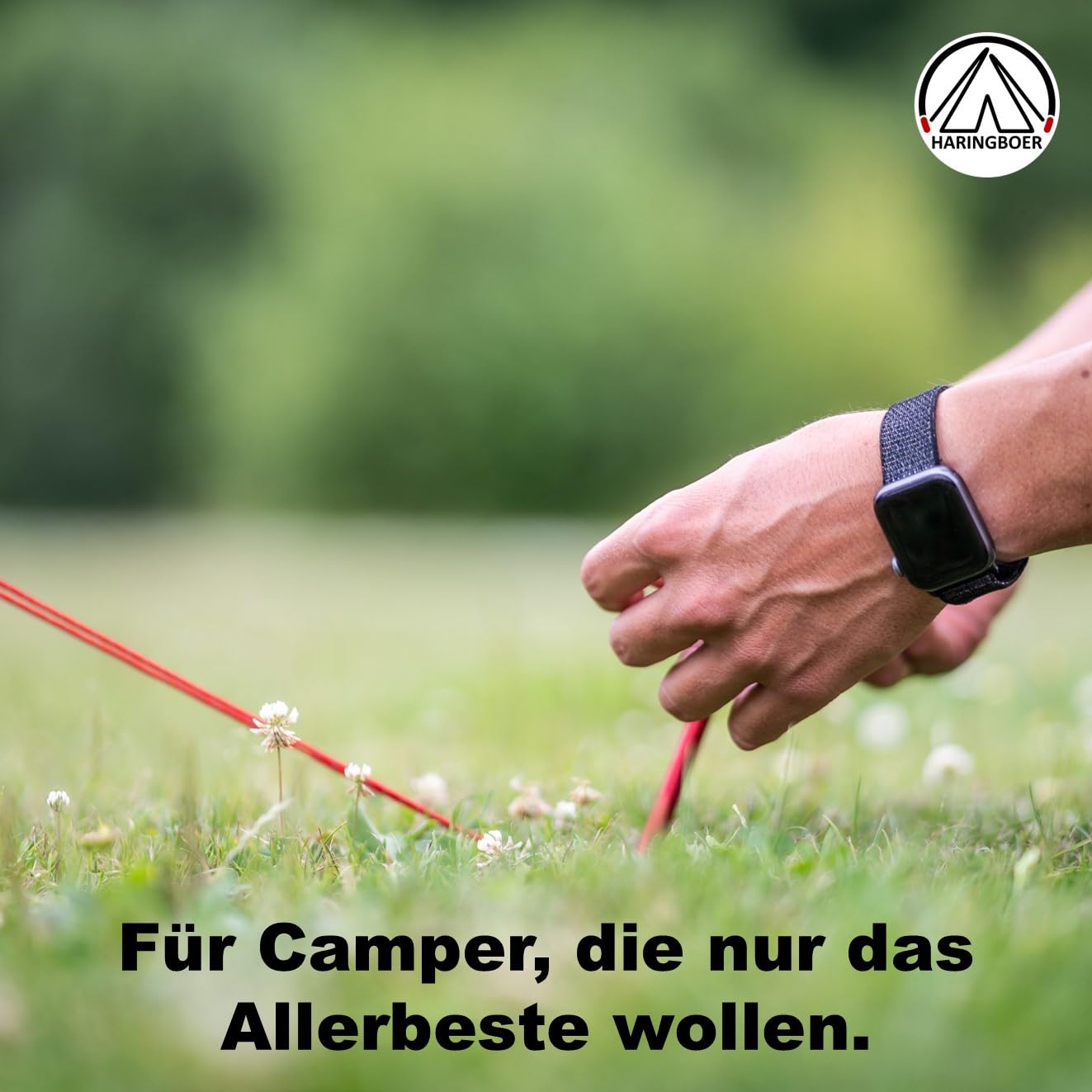 Titan Bodenanker 20cm - 8 Stück Zeltheringe - Starke, leichte Titanium Zelt Heringe - 38 Gramm pro Erdanker für Harte steinige Böden - Erdnagel inklusive Zugband & Heringsbeutel