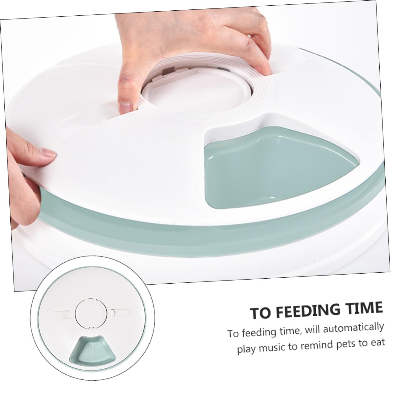 Comedero Automático Fácil de Limpiar y Ahorro de Espacio para Perros y Gatos 6 Comidas Programables Temporizador Inteligente Material Abs Verde Adecuado para Colocar Esquina