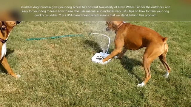 Dog Fountain Water Fountain For Dogs Dog Sprinkler Dog Toys for Large Or Small Dog Bowl Alternative Pet Water Fountain… - Image 7