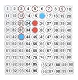 WISSNER aktiv lernen - Magnetisches Hunderter Feld 52 Teile