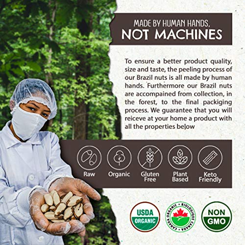 Raw Brazil Nuts - (4.4oz - 125g) - Sustainable Harvesting, Certified Organic, Handpicked, Fresh, Whole, Jumbo Size, Unsalted Brazilian Nuts - Non-Gmo, Keto Friendly, Vegan, Kosher