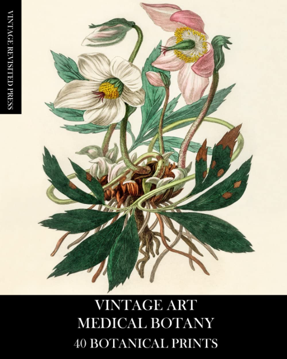 Vintage Art: Medical Botany 40 Botanical Prints: Ephemera for Framing, Collage, Decoupage, Mixed Media and Junk Journals      Paperback – August 30, 2021