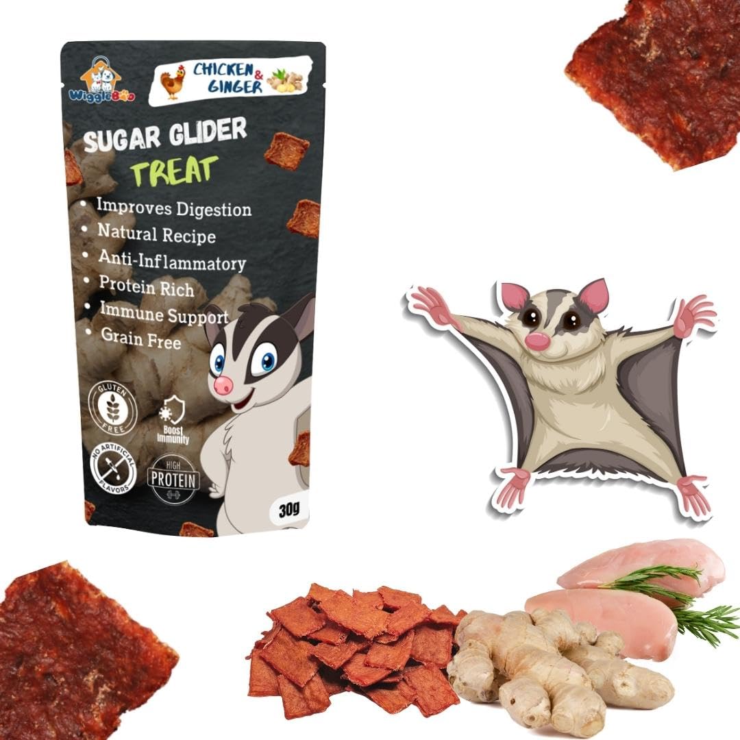 WiggleBoo Chicken & Ginger Suger Glider Treat | Travel Friendly Pack | Protein Rich | Anti-Inflammatory | Crunchy Healthy Snacks | 30g