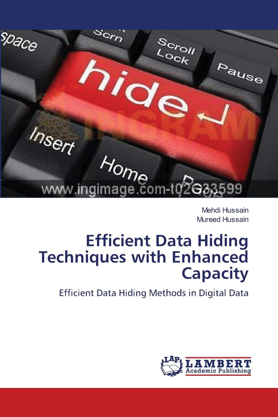 Efficient Data Hiding Techniques with Enhanced Capacity: Efficient Data Hiding Methods in Digital Data
