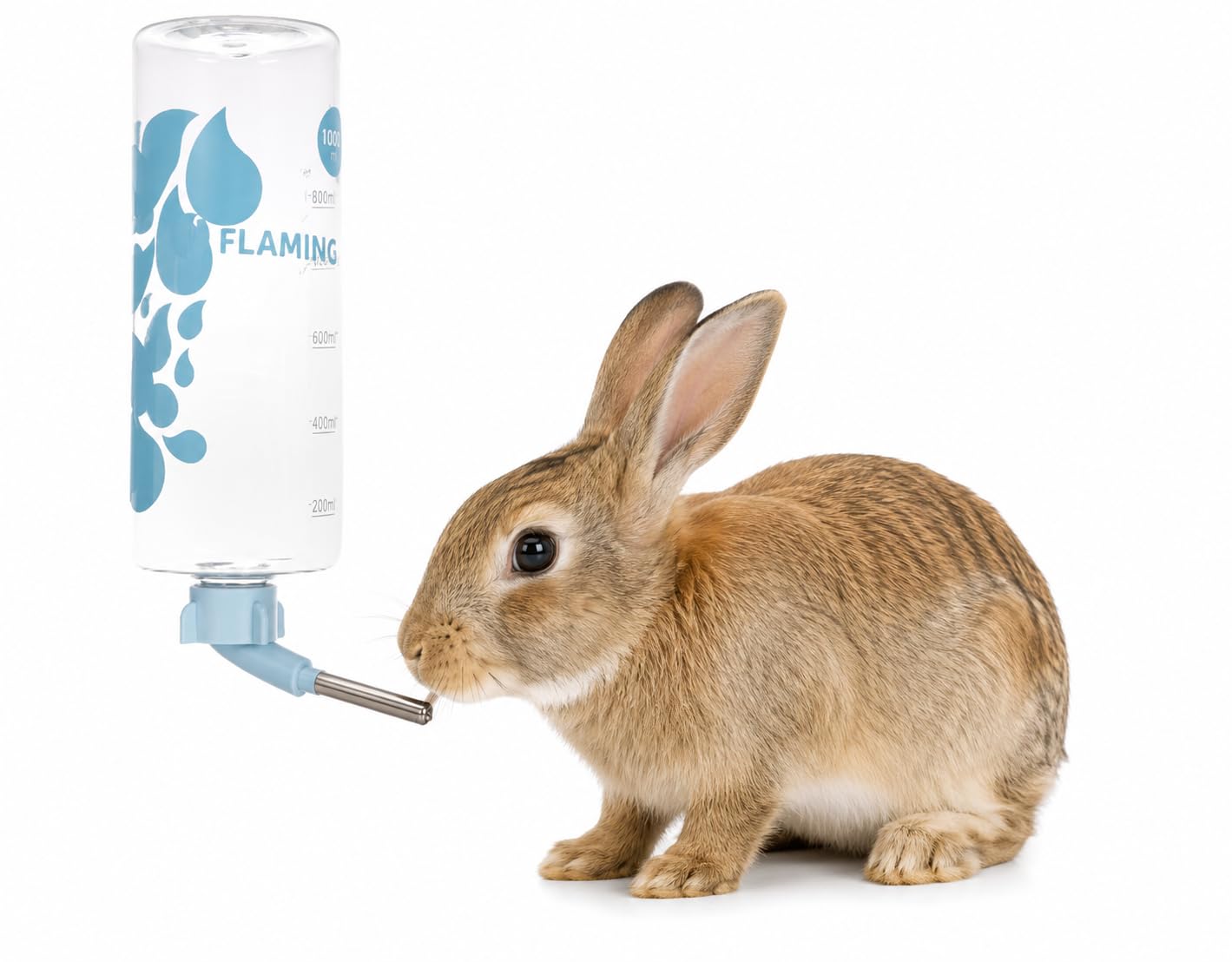 Bebedero Sippy Azul 1000ML