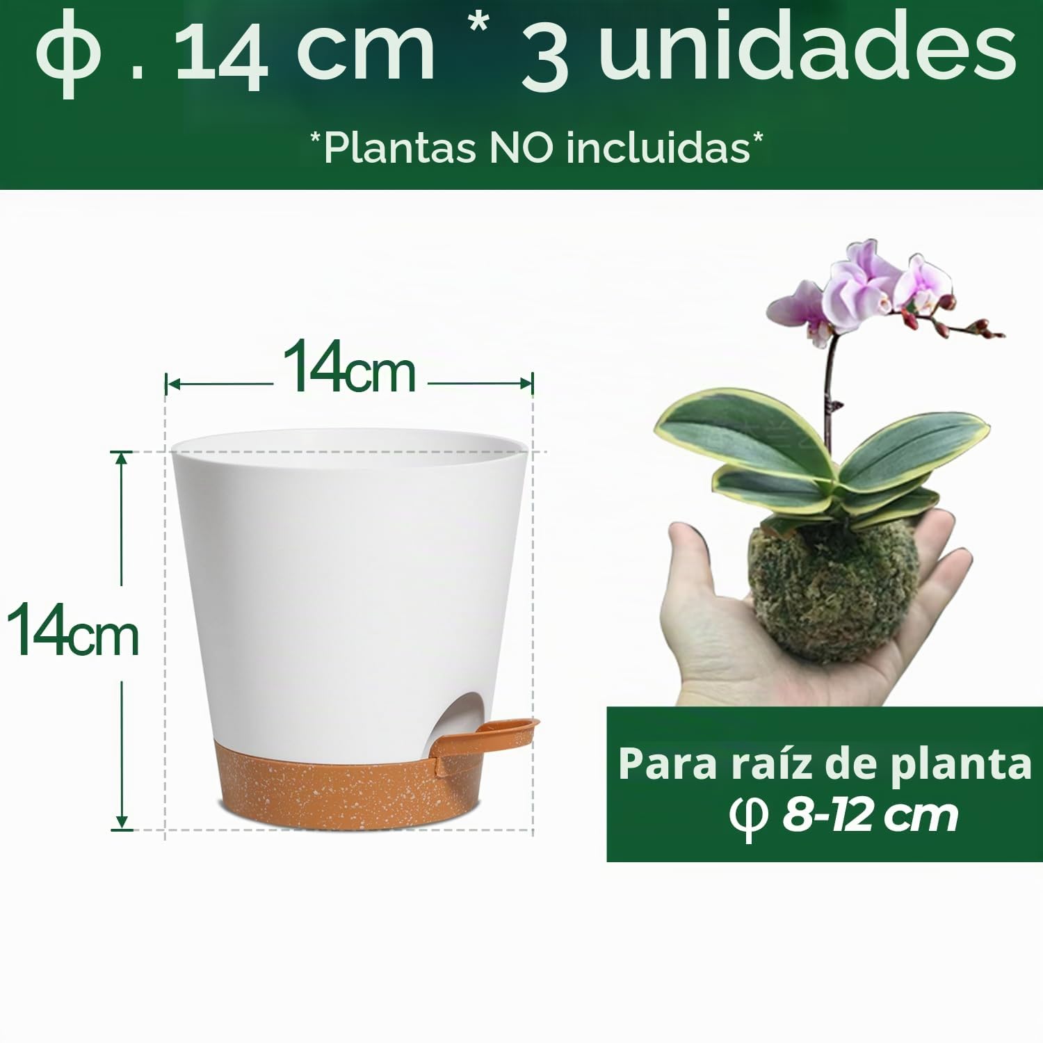 T4u Macetas con Riego Automático 14 cm Pack de 3 para Interior Blanco | Plástico resistente, agujeros de drenaje, raíces ventiladas, flores, hierbas, balcón, jardín, hogar, oficina