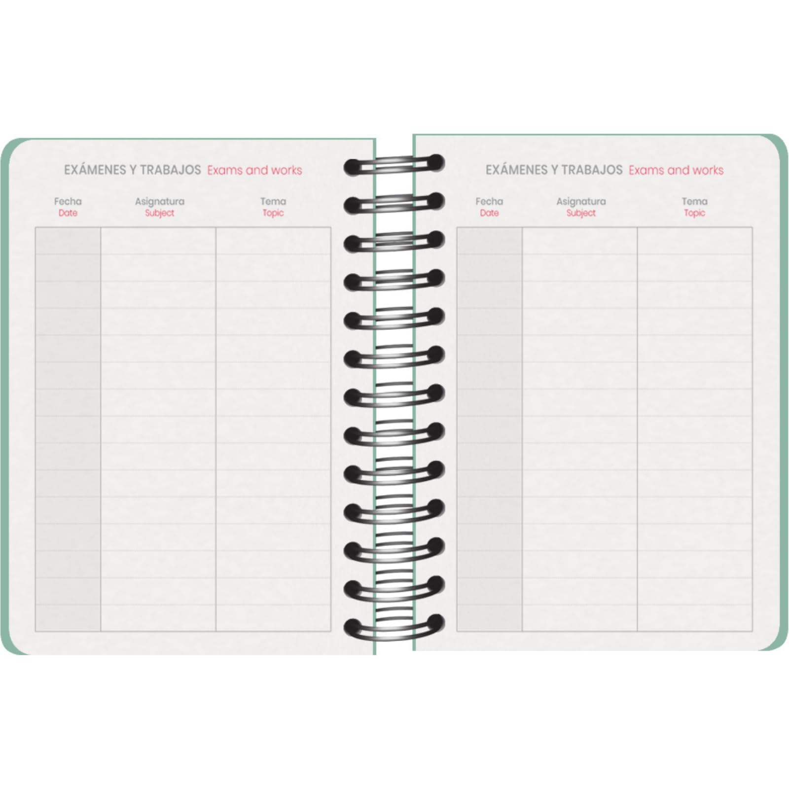 Dohe, School Planner 2025 2026, Day per Page, A6 Size (12x17 cm), Spanish and English, September to June - Image 4