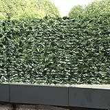 APP LIFE B09BG1MRFV lato 4