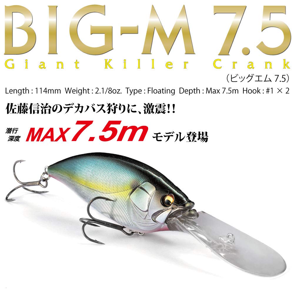 Amazon | メガバス(Megabass) ルアー BIG-M(ビッグエム)7.5 イースタン