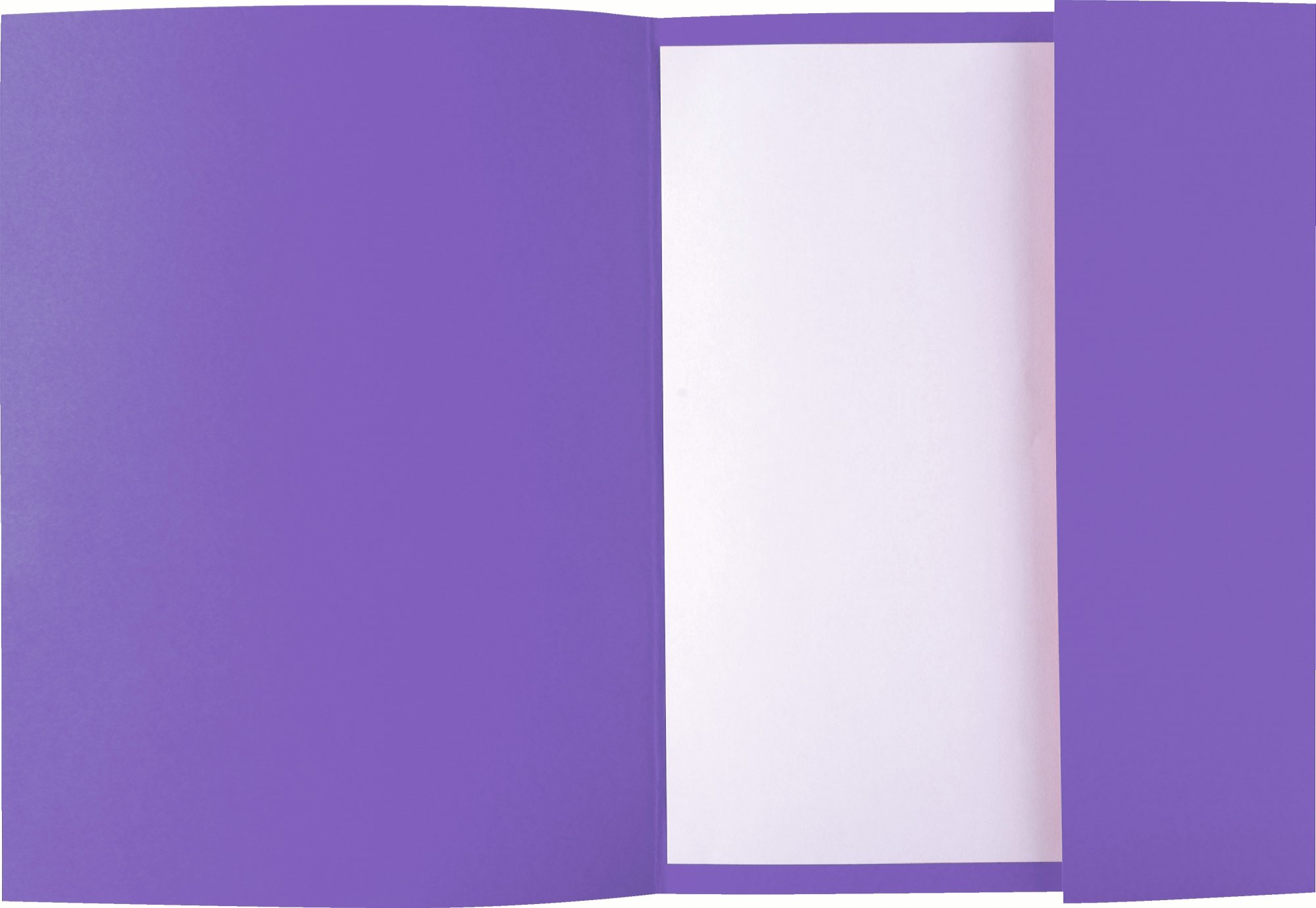 'Exacompta Rocks Pack di 50 cartelline per A4 1 aletta di 24 x 32 cm violetto