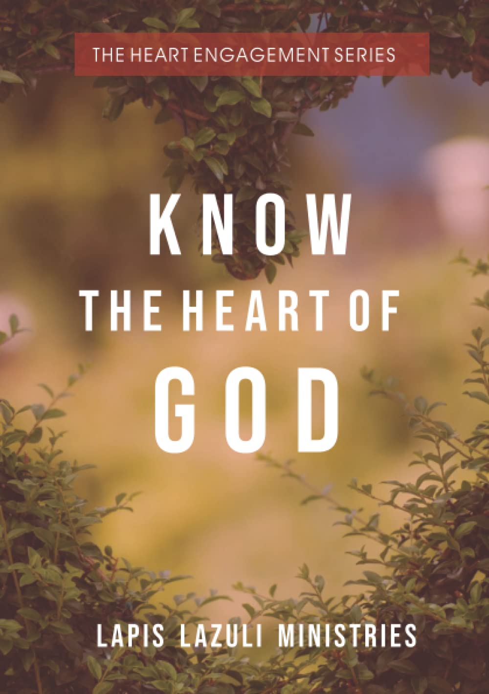 The Heart Engagement Series: Know the Heart of God