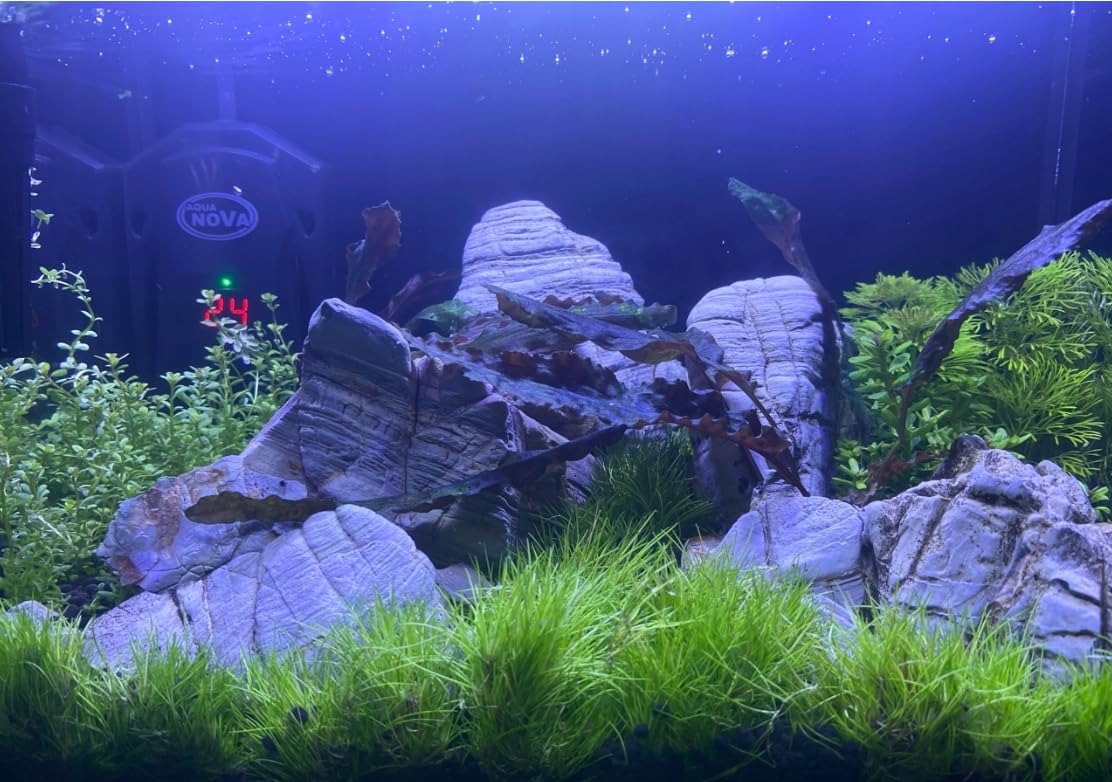 Aquarium Steine 10 kg Aquascaping Deko Elephant