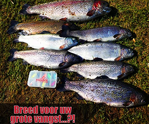 Paradox Fishing forel ass Set 10 Spoons 2,5 g trout spoons met doos en 5 Snaps forel lokaas set voor forellen vissen forellen knipperlichten - Spoons forel - Image 7